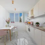 Apartment Ivandic *